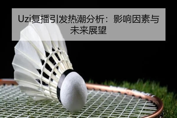 Uzi复播引发热潮分析：影响因素与未来展望